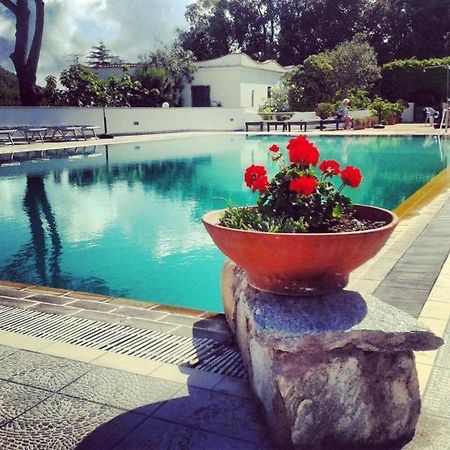 Hotel Al Bosco Forio di Ischia Exteriör bild