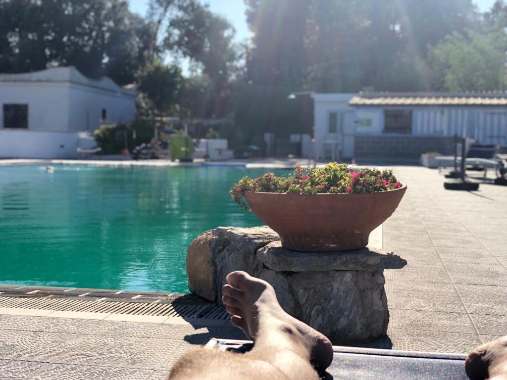 Hotel Al Bosco Forio di Ischia Exteriör bild