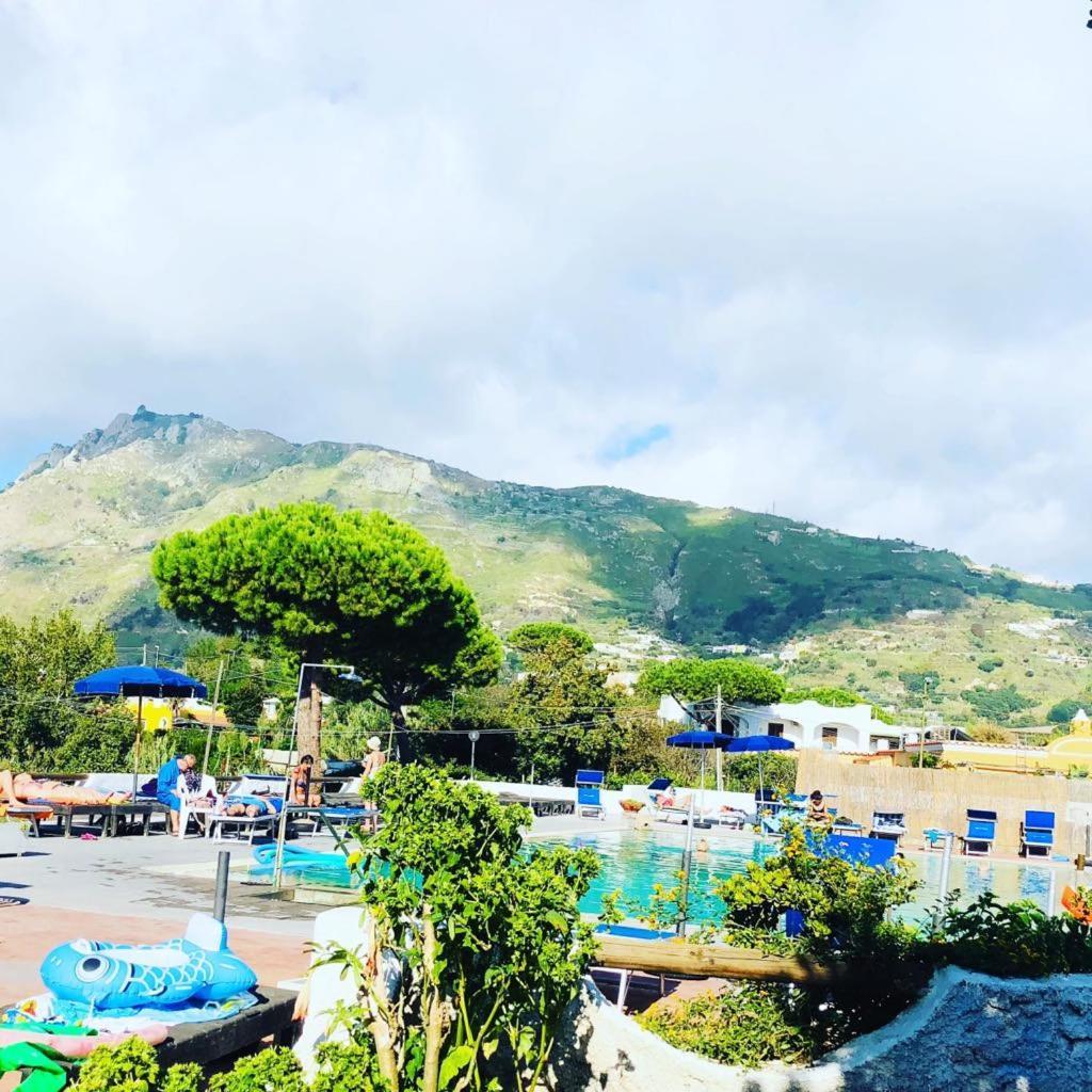Hotel Al Bosco Forio di Ischia Exteriör bild